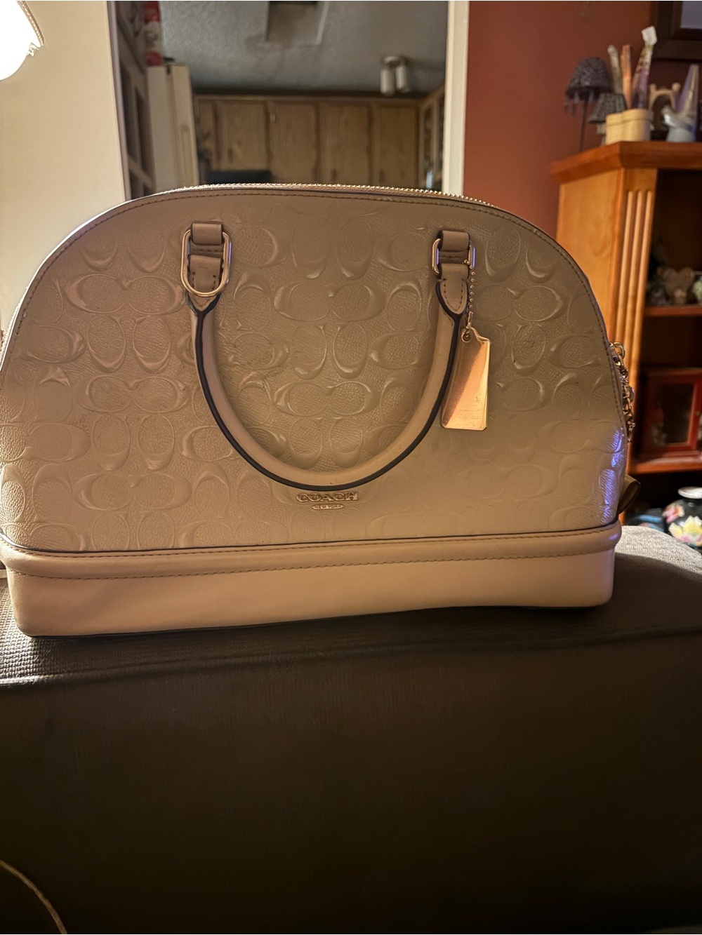 Coach Embossed Dome Satchel #F55449